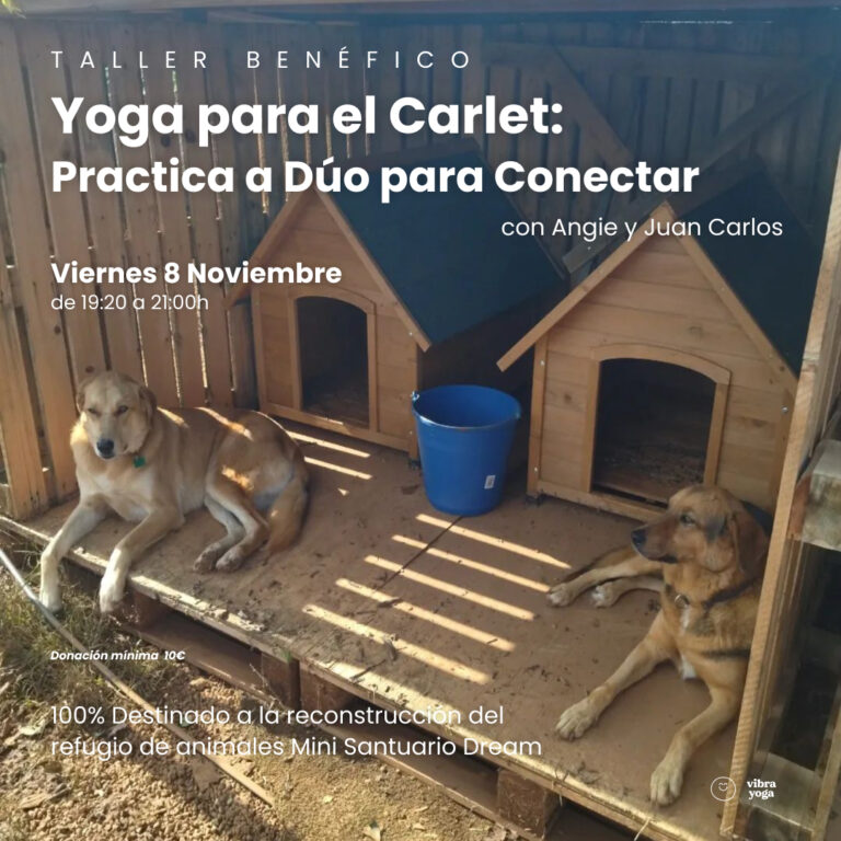 yoga en parejas